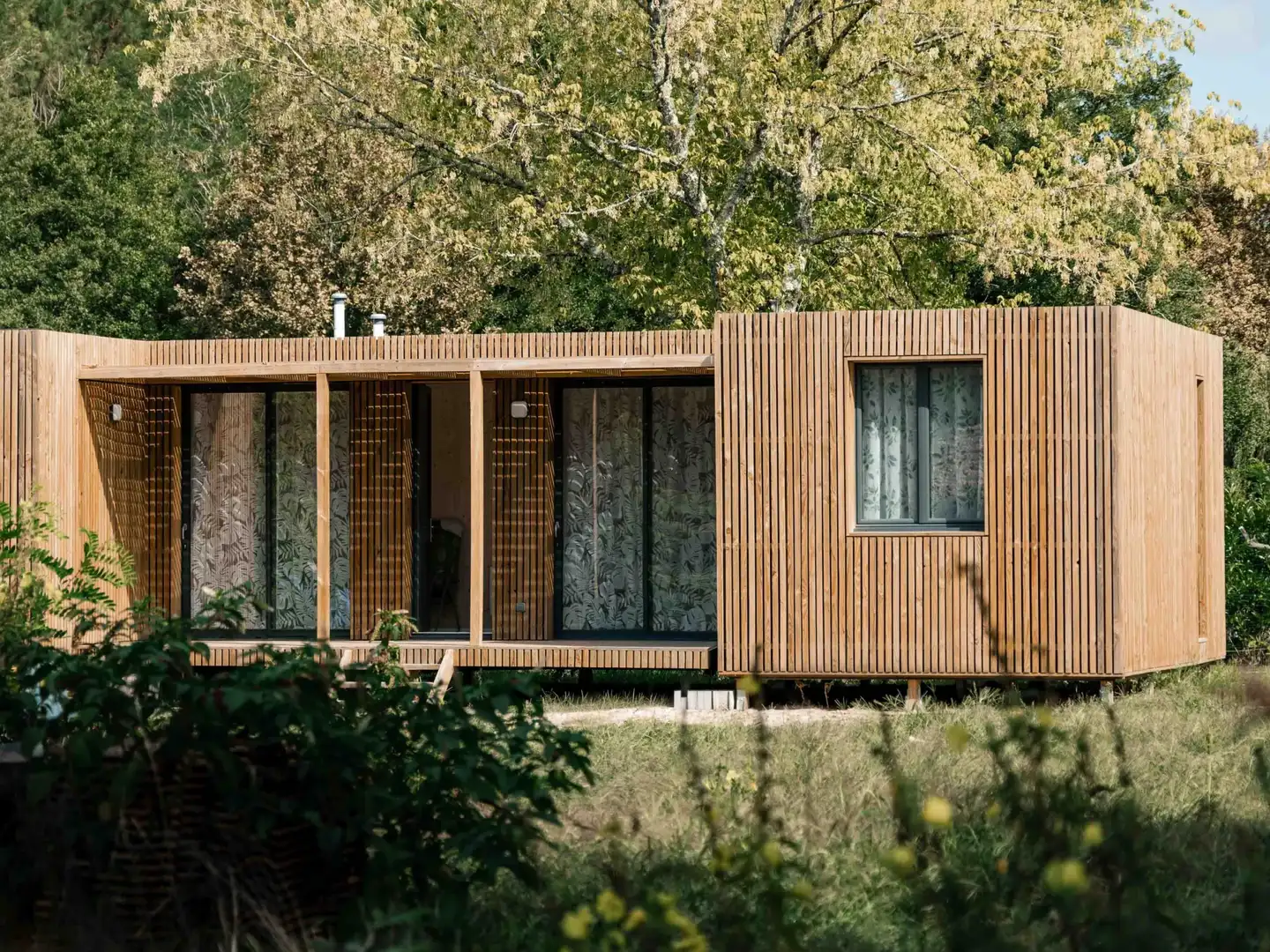 Studio de jardin Greenkub GK50 en ossature bois et ses grandes baies vitrées, aperçu à travers la végétation d'automne